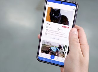 App Joinville Fácil completa um mês com 25 pets cadastrados como desaparecidos