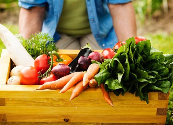 Abertas as inscrições para o encontro Estratégia Alimenta Cidades Joinville