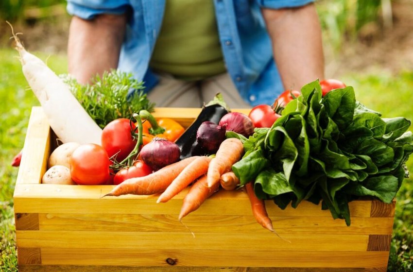 Abertas as inscrições para o encontro Estratégia Alimenta Cidades Joinville