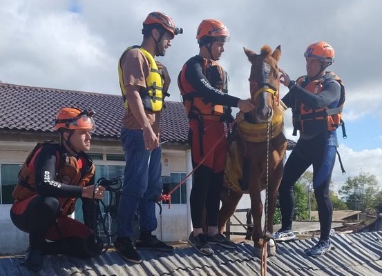 Cavalo Caramelo é resgatado depois de ficar ilhado em telhado em Canoas