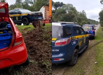 199 kg de maconha com destino a Joinville são apreendidos na BR-116