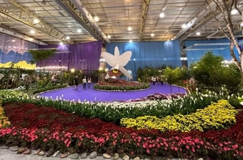 86ª Festa das Flores de Joinville abre venda antecipada com ingressos a partir de R$ 12,50