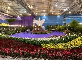 86ª Festa das Flores de Joinville abre venda antecipada com ingressos a partir de R$ 12,50