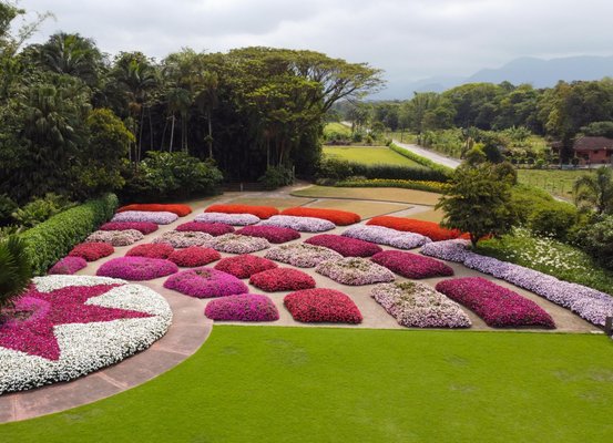 Festival de Primavera Hemero começa neste sábado, 11