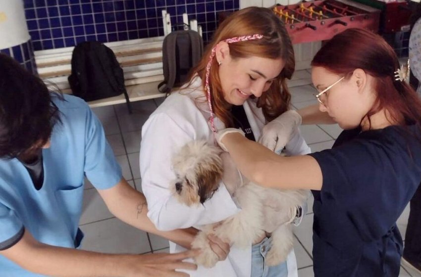 Prefeitura de Joinville faz mutirão de microchipagem para bairros da zona Sul