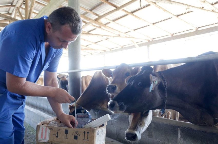 Produtores rurais de Joinville podem participar dos cursos gratuitos em novembro
