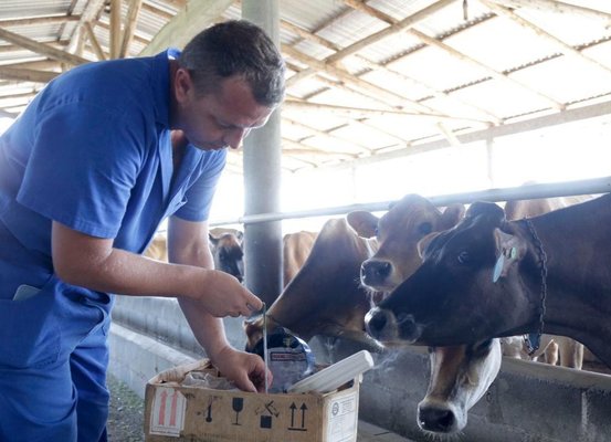 Produtores rurais de Joinville podem participar dos cursos gratuitos em novembro