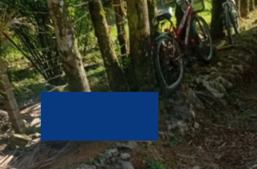 Mulher morre após queda de bicicleta na Estrada Quiriri em Joinville