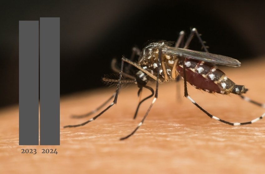 Joinville chega a 40 mortes por dengue e passa número de vítimas registradas em 2023