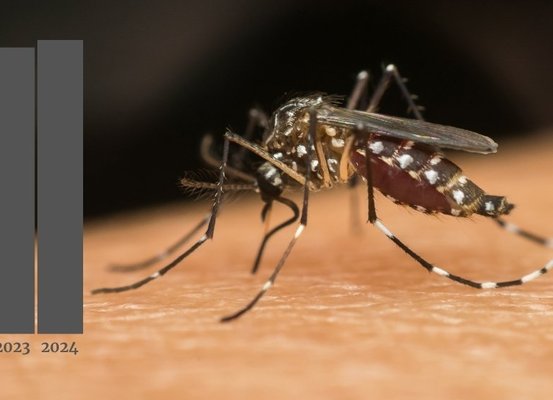 Joinville chega a 40 mortes por dengue e passa número de vítimas registradas em 2023