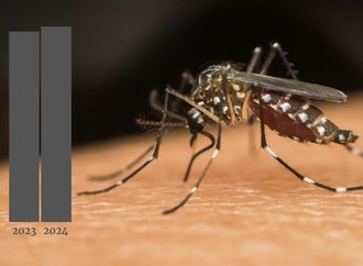 Joinville chega a 40 mortes por dengue e passa número de vítimas registradas em 2023
