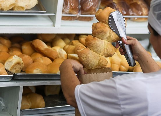 Sine Santa Catarina oferece 9.407 vagas de emprego; 232 em Joinville