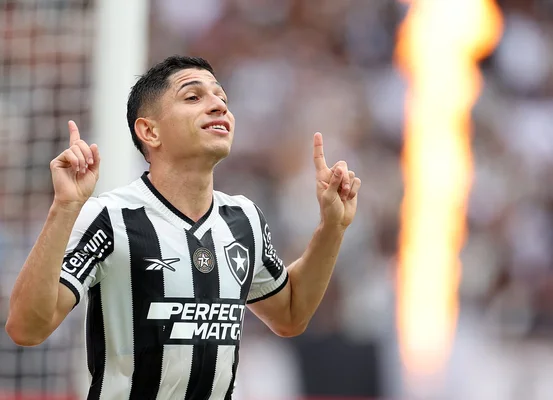 Tricampeão: Botafogo quebra jejum de 29 anos no Brasileirão