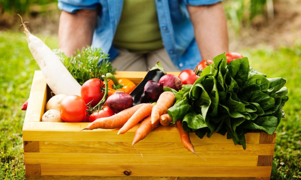 Abertas as inscrições para o encontro Estratégia Alimenta Cidades Joinville