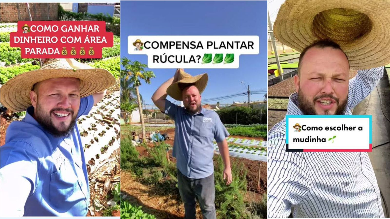 Agrônomo e influenciador Geraldo Rodrigues realiza palestra sobre agricultura orgânica em Joinville nesta quarta