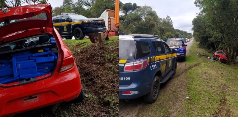 199 kg de maconha com destino a Joinville são apreendidos na BR-116