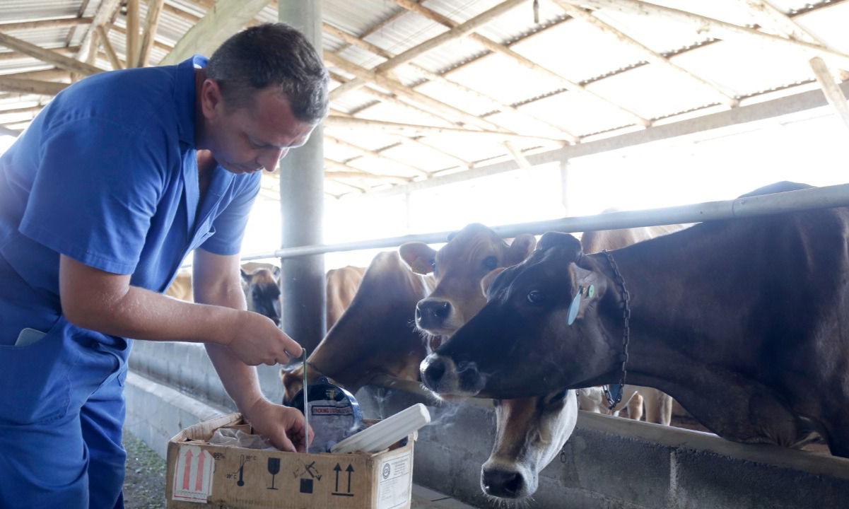 Produtores rurais de Joinville podem participar dos cursos gratuitos em novembro